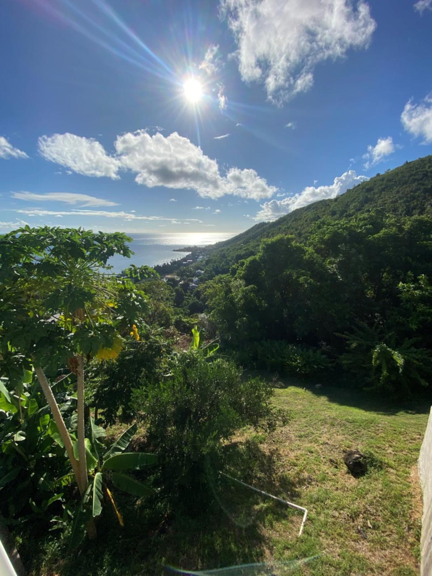 Greenhouse On The Hill, Sea View Studio Apartment Laborie Exterior photo