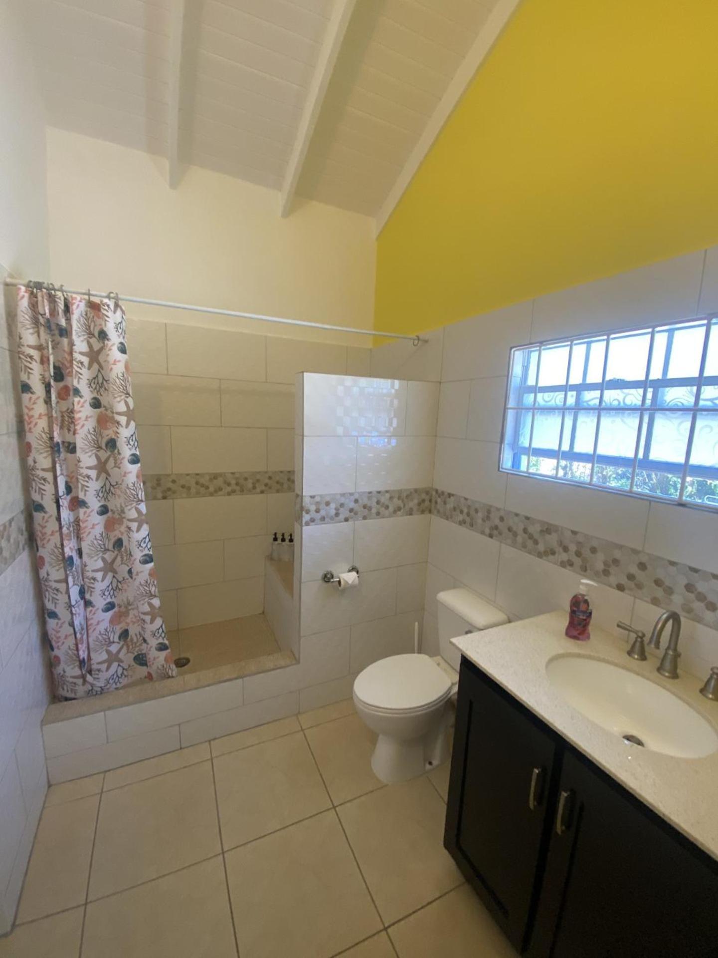 Greenhouse On The Hill, Sea View Studio Apartment Laborie Exterior photo